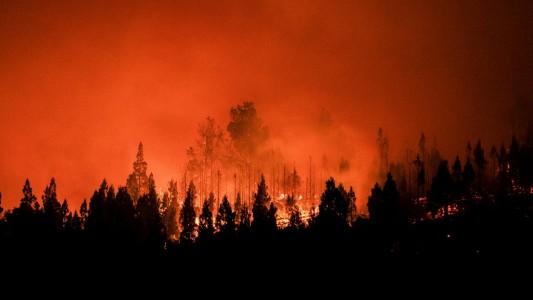 Incendios en Chubut: el fuego consumió más de 50 mil hectáreas y los brigadistas esperan dos jornadas de lluvias leves