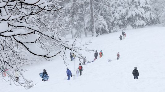 Nueva York bajo el "ciclón bomba": Central Park, una postal en medio de la tormenta histórica