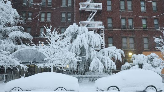 Nueva York bajo la nieve: los videos de la tormenta invernal que paraliza la ciudad