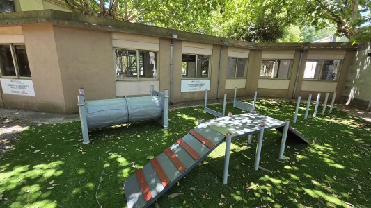 La UBA inaugura un laboratorio kinésico para el abordaje integral de la rehabilitación animal