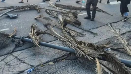 Mar del Plata: un poste cayó en plena marcha y dejó dos mujeres heridas