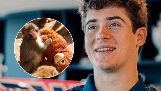 El nuevo "Imperio Romano" de Colapinto es el mono Punch: el curioso accesorio del piloto