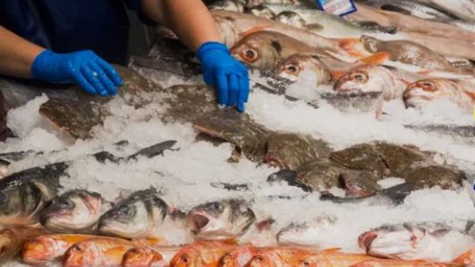 Afirman que el pescado registra la mayor suba de precios de la última década y que el consumo sigue cayendo