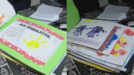 Qué reveló el informe escolar de Ángel hecho a días previos de la mudanza con su mamá
