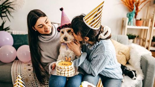 Cada vez más personas tratan a los animales de compañía como si fueran humanos