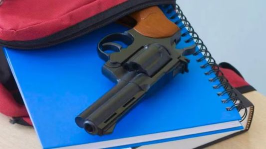 Mendoza: detuvieron a la mamá de un adolescente que llevó un arma al colegio