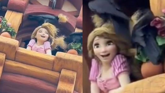 Cuervos atacaron a la princesa Rapunzel en Disneyland Tokio: le arrancaron el cabello y se lo comieron