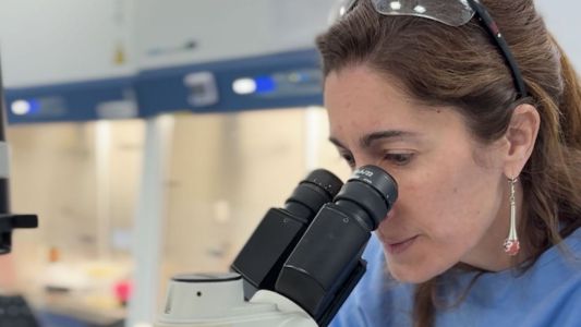 La UBA desarrolla una estrategia innovadora para acortar el tratamiento contra la tuberculosis