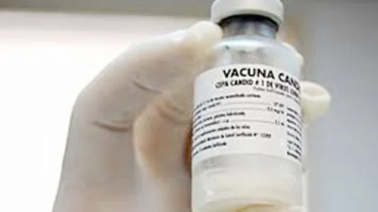 Alerta por ébola: qué es y cuál es la situación en Argentina