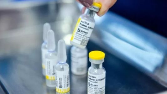 Fiebre amarilla: ante el brote detectado en Bolivia, realizan una vacunación focalizada en Salta