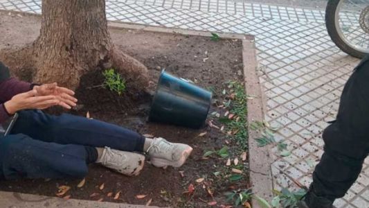 Rosario: caminaba por una vereda y le cayó encima una maceta con una planta de marihuana
