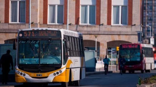 Mar del Plata: sigue el paro de colectivos