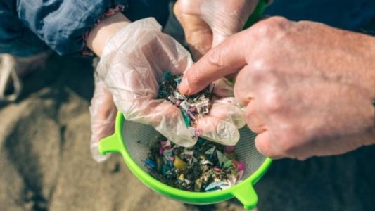Científicos desarrollaron un método de bajo costo para extraer microplásticos del suelo