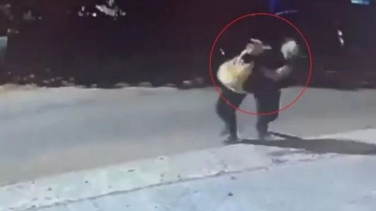 Detuvieron al delincuente que le robó a un nene de 12 años cuando iba a la escuela en La Plata