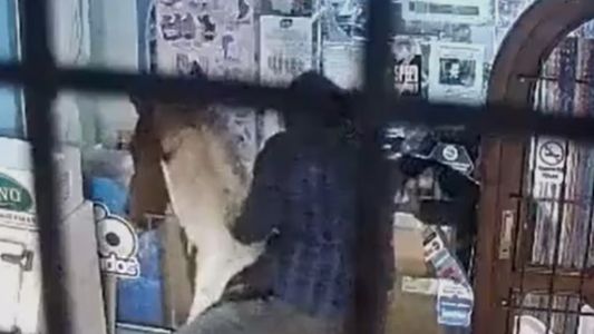 Miramar: Robaron un kiosco montados a caballo