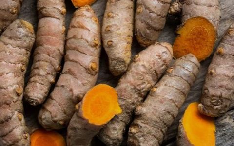 Hallan en la cúrcuma propiedades contra el deterioro cognitivo y enfermedades neurodegenerativas