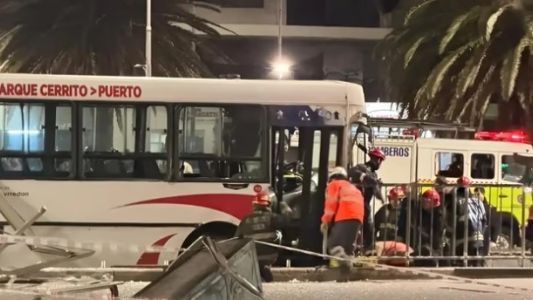 Declaró el chofer del colectivo que atropelló y mató a una joven en Mar del Plata: “No pude hacer nada”
