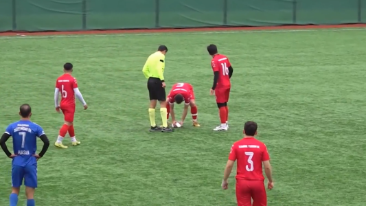 Un futbolista le hizo RCP a un gaviota herida durante un partido en Turquía