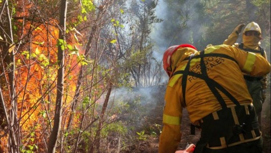 Brigadistas lograron contener el avance del fuego en Puerto Patriada