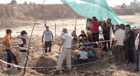 Hallaron animales prehistóricos en Marcos Paz