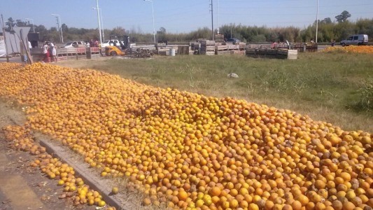 Citricultores arrojaron más de 35 toneladas de naranjas en la ruta 14