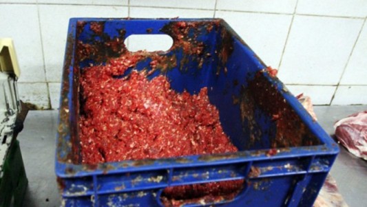 Los alimentos contaminados son la causa del 25 por ciento de las enfermedades