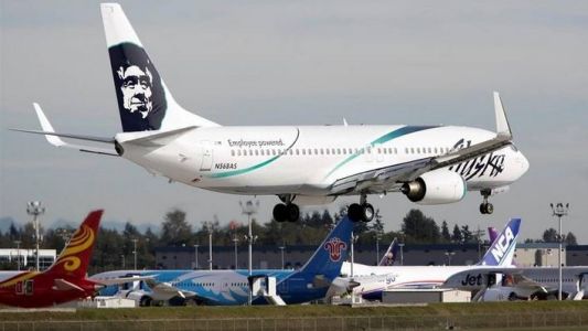 Se quedó dormido en la bodega de un avión y causó un aterrizaje de emergencia