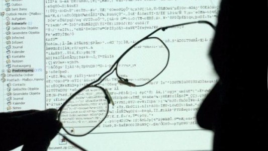 Frenaron a "Beebone", el virus que mutaba hasta 19 veces por día