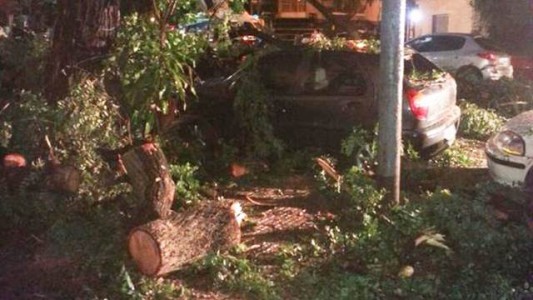 El temporal arrancó árboles, movió un avión y causó anegamientos