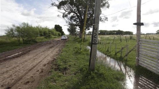 La Plata: quinteros armados patrullarán con sus autos para protegerse