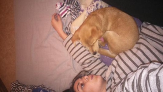 #AmorAnimal : Compartí con nosotros una foto con tu mascota