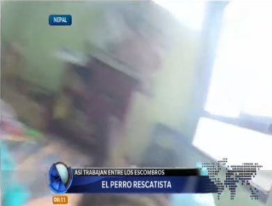 El perro rescatista de Nepal