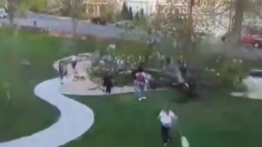 Video: un árbol cae sobre varios niños que jugaban en un parque