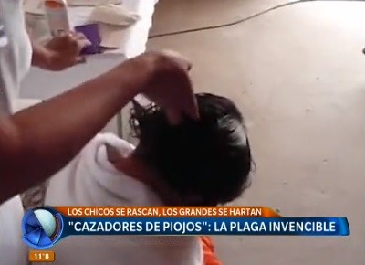 "Cazadores de piojos": la plaga invencible