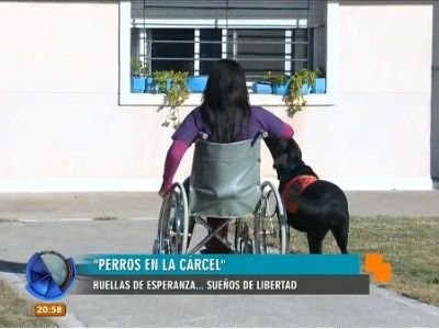 Están presas y entrenan perros en la cárcel