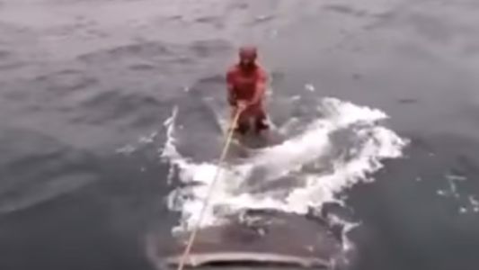 #IndignaciónViral Piden procesar a dos hombres que hacían 'surf' sobre un tiburón ballena