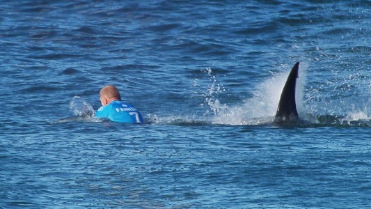 Video: tiburón atacó a campeón de surf en pleno Mundial del deporte