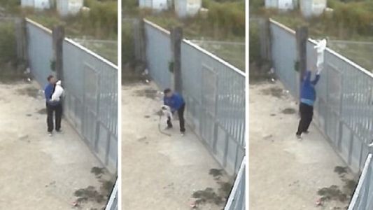 #SinAlma : abandonó a su perro tirándolo por arriba de la reja de la perrera