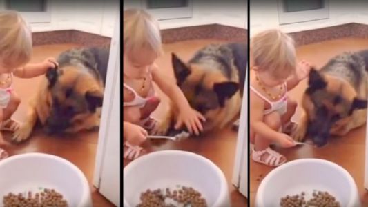 Pura ternura: Una nena le da de comer en la boca con cuchara a su perro