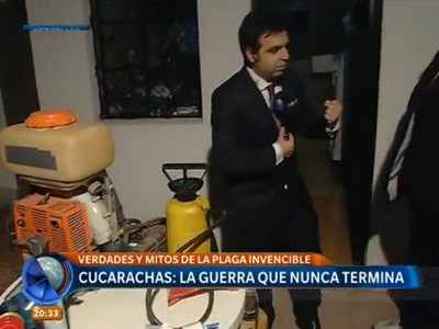 Control de plagas: como combatir a las cucarachas