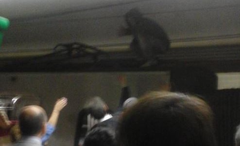 Un hombre permaneció media hora sobre el techo de un vagón del subte