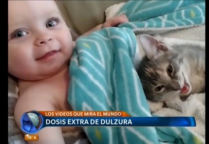 #SonVirales Estos son los videos que mira el mundo