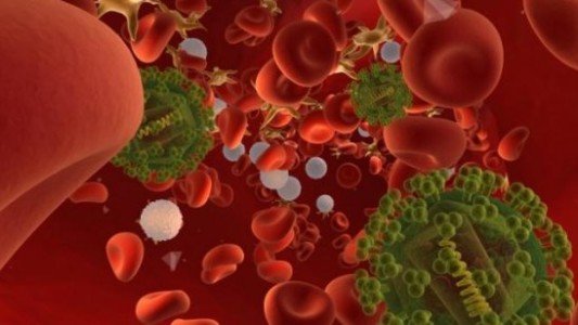 Videos: así se propaga por el cuerpo el virus del SIDA