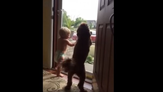 #VideoViral Este bebé y su perrito se ponen como locos cuando papá llega a casa
