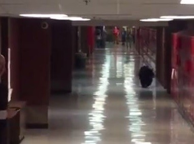 Sorpresa por el ingreso de un oso a una escuela secundaria de EE.UU.