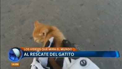 Top 10 de los videos virales de esta semana