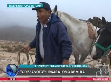 "Odisea voto": urnas a lomo de mula