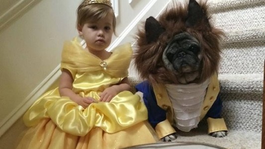 Foto viral:  Una nena y su perro son "La Bella y la Bestia" para Halloween