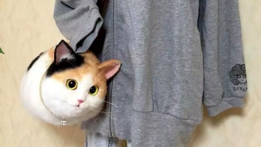 Furor en Japón por las "carteras - gato" que creó una joven artista