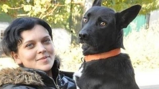 Shavi, la perra que recorrió 320 kilómetros para reencontrarse con la mujer que salvó su vida